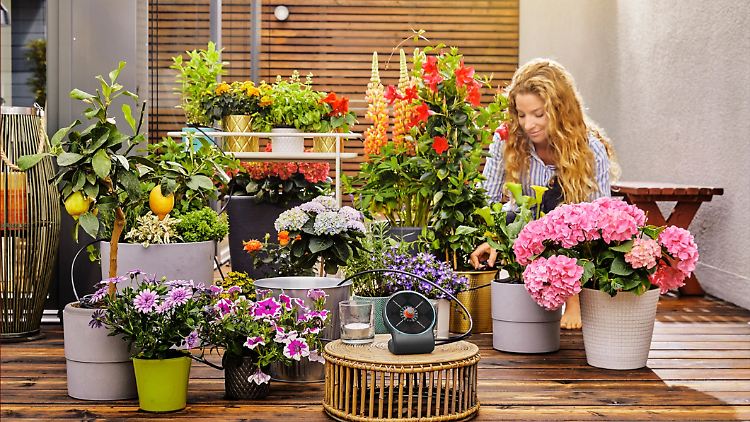 Mit einem smarten Bewässerungssystem lässt sich die Pflanzenpflege effektiv vereinfachen.