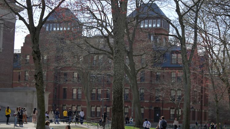 Die Eliteuniversität Harvard bietet US-Präsident Trump die Stirn - mit Folgen. 