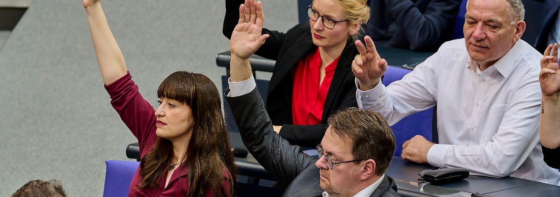 Linken Führung Bundestag Plenum.jpg