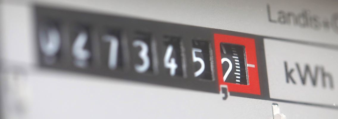 508974137.jpg