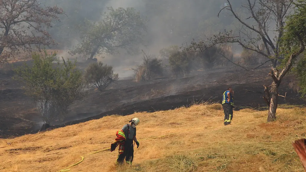 Feuerwehrleute-bekaempfen-den-Brand