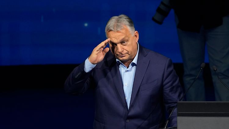 Orban zeigt sich gewillt, auf Trump und Putin zu hören, wenn es um Entscheidungen in Brüssel geht.