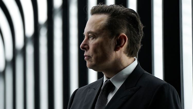 Wie viele Kinder hat er tatsächlich? Elon Musk.