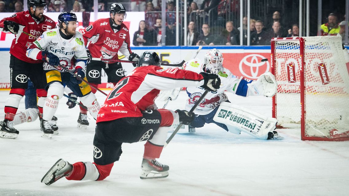 2haie.jpg