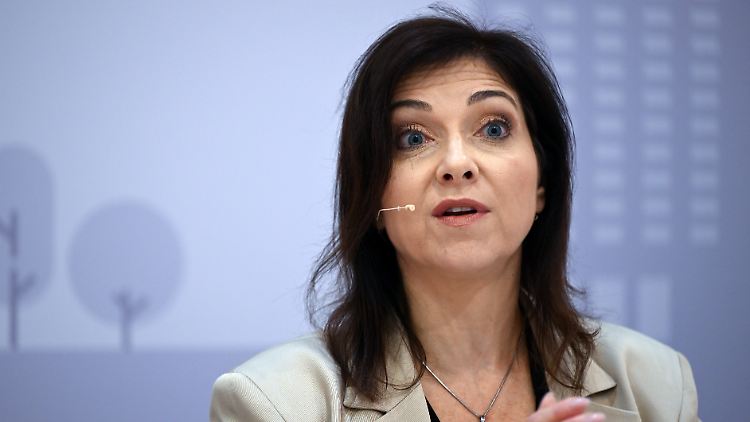Reiche hat mehr Regierungserfahrung als Merz. 