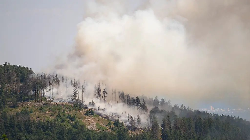 Baeume-brennen-bei-einem-Walbrand-auf-dem-Altkoenig-bei-Kronberg