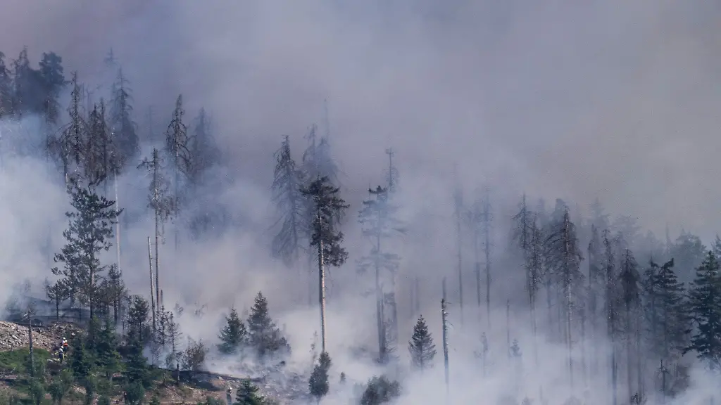 Baeume-brennen-bei-einem-Walbrand-auf-dem-Altkoenig-bei-Kronberg