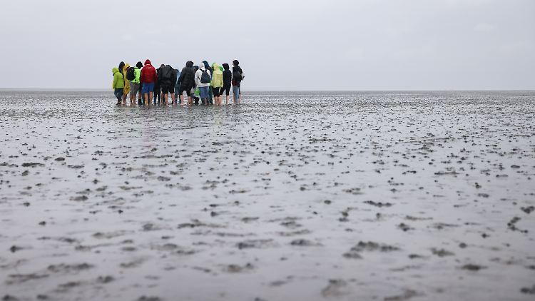 Die Gruppe konnte die Insel Amrum bei ansteigendem Wasser nicht mehr erreichen. (Symbolbild)