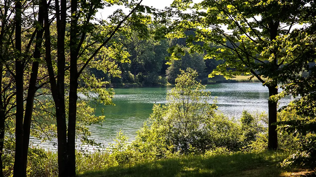 Das-Licht-der-Sonne-scheint-durch-die-Blaetter-der-Baeume-auf-einen-See