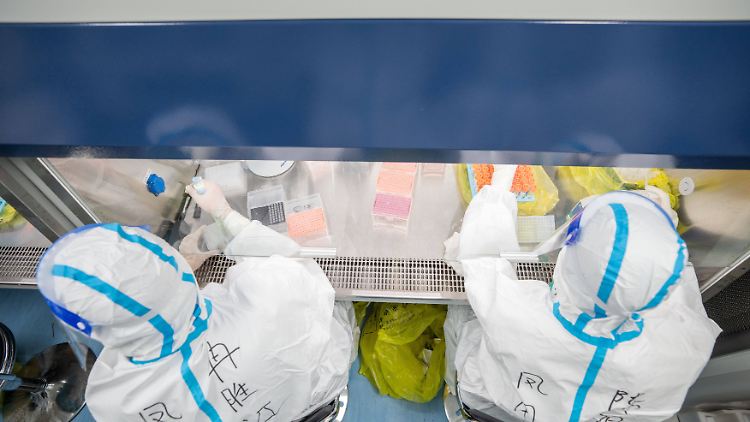 Die US-Regierung stützt nun mit einer neuen Webseite die Labor-Theorie. Der deutsche Virologe Drosten will sich nicht dazu äußern.