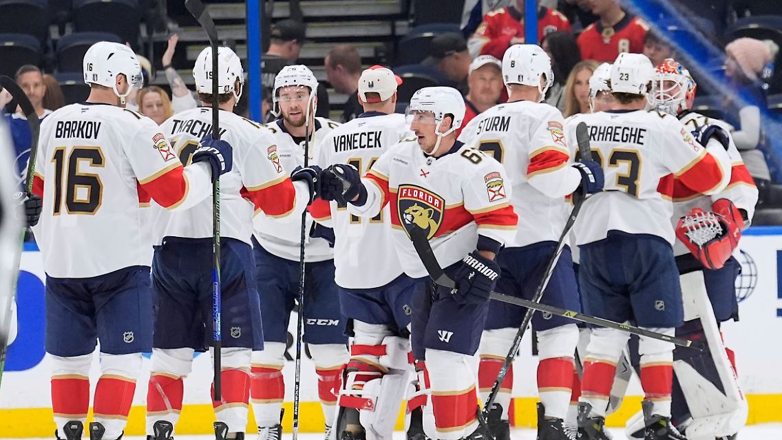 Einige der besten Panther spielen Eishockey.