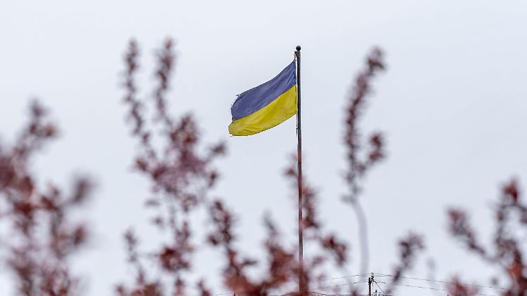 Der US-Friedensplan soll Gebietsabtretungen der Ukraine vorsehen.
