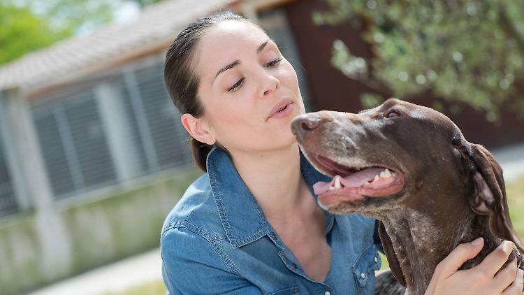 Hunde erfüllen für Menschen viele verschiedene emotionale Rollen, heißt es in der Studie ungarischer Forscher.