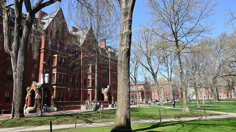 Harvard ist eine der Eliteuniversitäten der USA und Trump derzeit besonders Dorn im Auge.