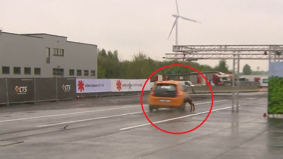 crashtest-kreis.JPG