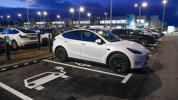 Das Image des Autobauers Tesla hat in den vergangenen Monaten stark gelitten.