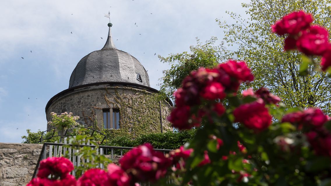 Die Türme und der Rosengarten der Sababurg sollen die Brüder zu "Dornröschen" inspiriert haben. In der Burg war auch Deutschlands erstes Trauzimmer außerhalb eines Rathauses - aktuell schränken Sanierungen den Betrieb jedoch ein.