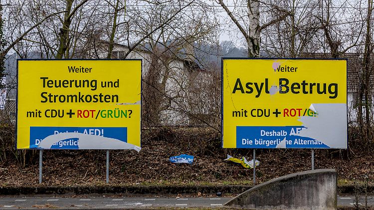 Hat sich die AfD eine Plakat-Kampagne aus dubiosen Quellen bezahlen lassen?