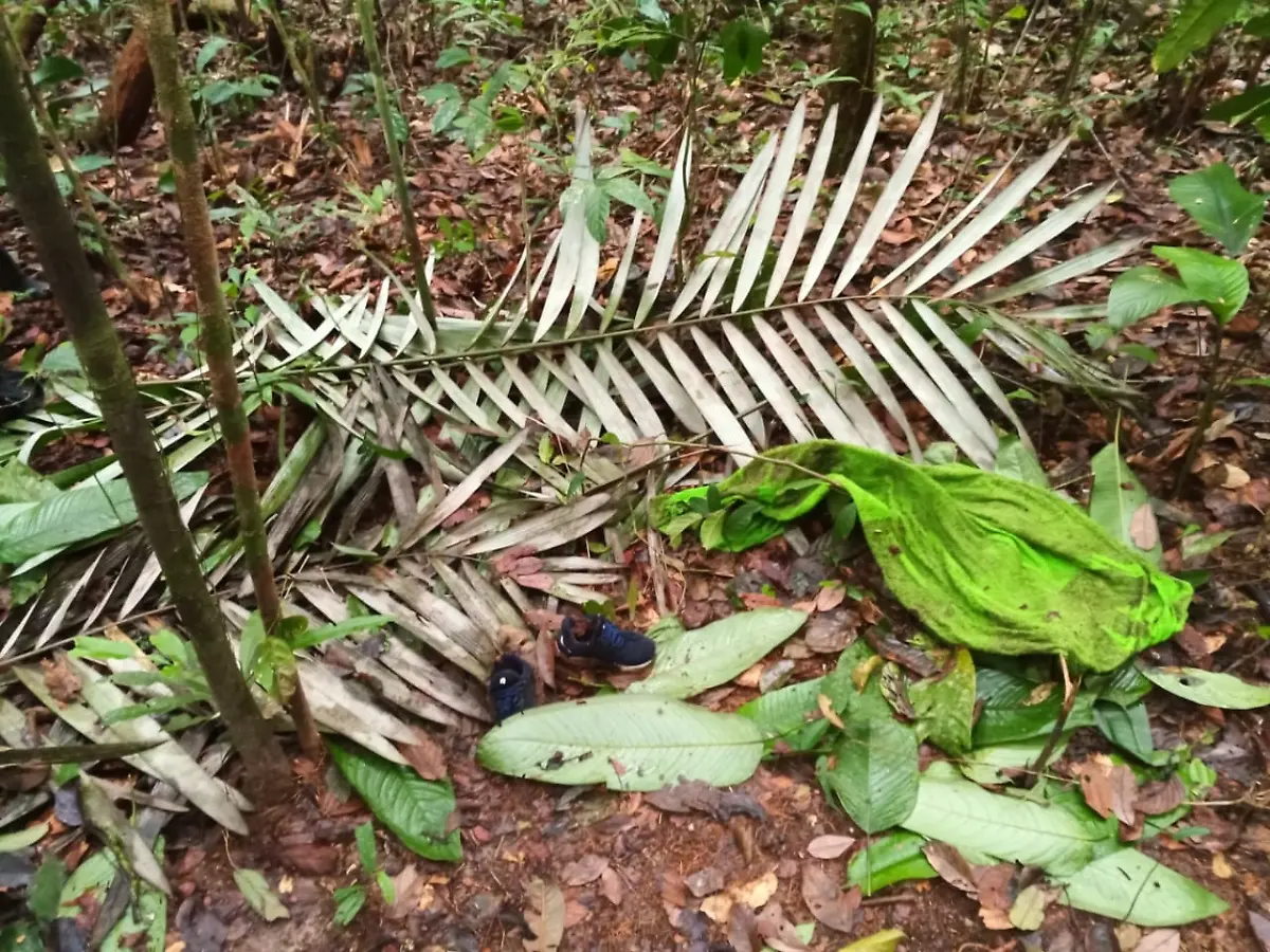 55733195e89d32e0fb05e79ad2d75454