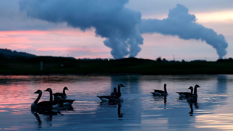 Die RWE-Kraftwerke Niederaußem und Neurath stoßen Dampfschwaden aus, eine neue Technologie könnte das CO2 möglicherweise bald abtrennen und speichern.
