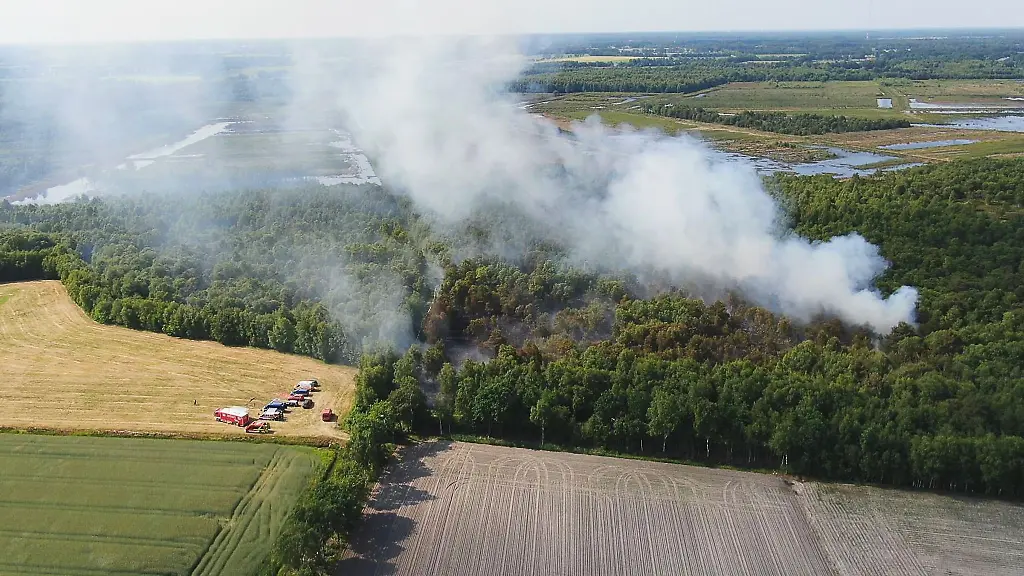 Rauch-steigt-bei-einem-Moorbrand-aus-einem-Waldstueck-auf