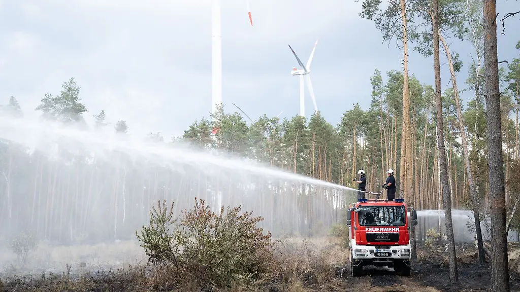 Loescharbeiten-der-Feuerwehr-in-einem-Waldbrandgebiet