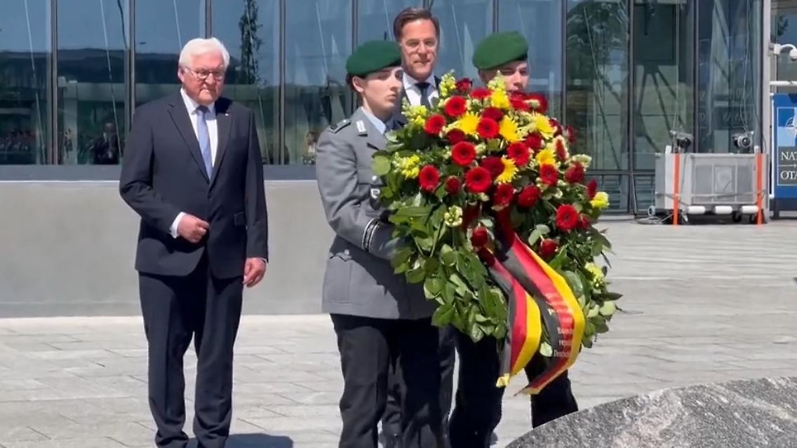 Steinmeier Nato.jpg