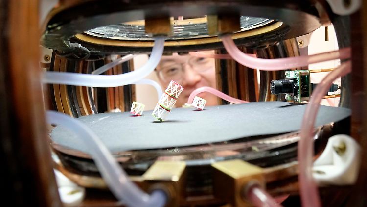Ein US-Forscherteam hat ein Material entwickelt, das sich an der Grenze zum Roboter bewegt.