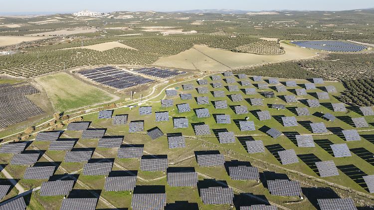 Photovoltaikanlagen in Andalusien - der massive Einsatz dieser Energiequelle könnte den Blackout begünstigt haben.