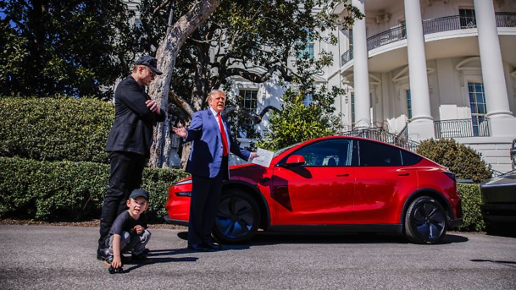 "Wer glaubt, dass Trump einfach alles umsetzt, was Elon Musk will, der unterschätzt Trump", sagt Investor Albert Wenger. 