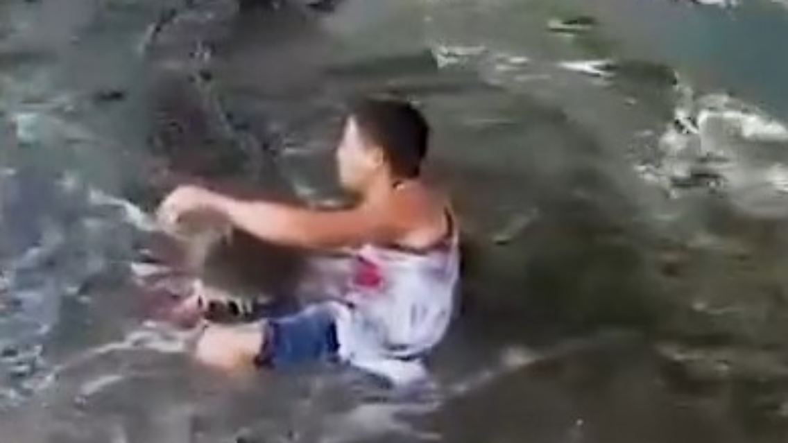 Krokodil Idiot.jpg