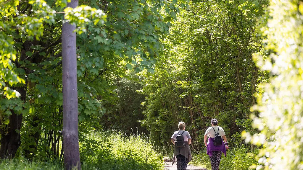 Wanderer-gehen-auf-einem-Weg