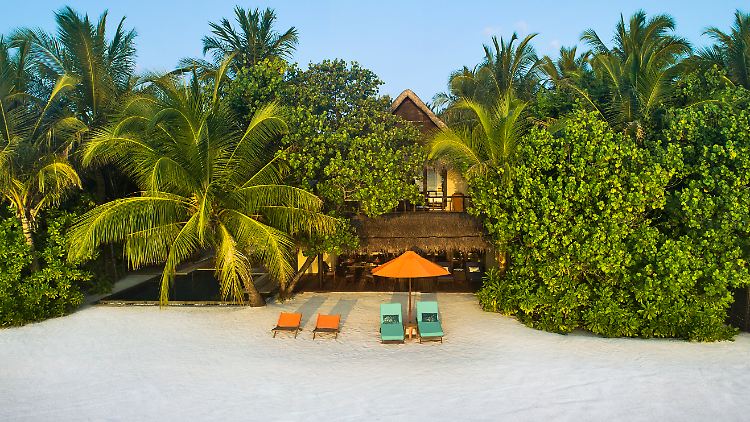 Wie in fast allen Resorts auf den Malediven haben auch im Taj Exotica die Beachvillen große Gärten und einen eigenen Pool – das Besondere sind hier die Mitarbeiter. 