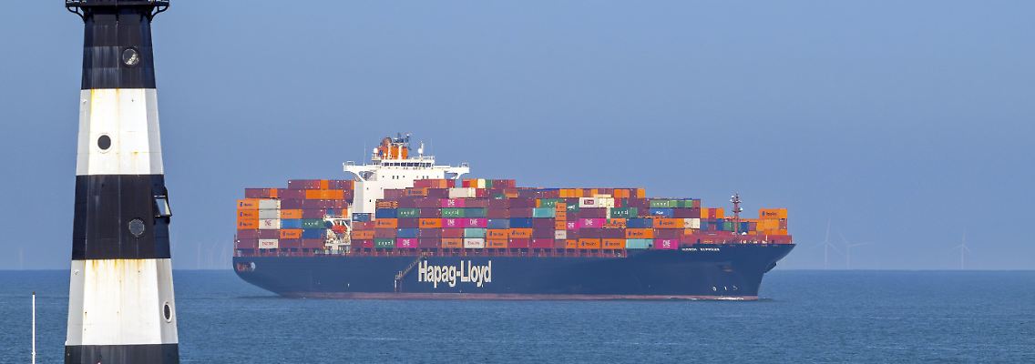 496333796.jpg