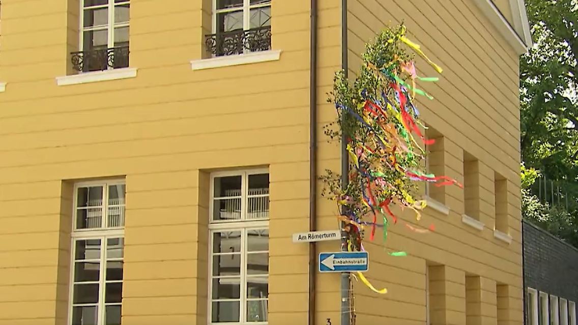 Maibaum.jpg