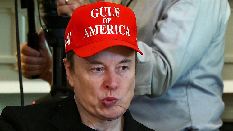 Inzwischen hat der Tesla-Chef angekündigt, sein politisches Engagement herunterzufahren.