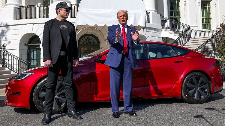 "Du hast wirklich viel geopfert", sagt Trump. Und Musk: "Sie haben meine Autos angezündet, das war nicht so toll."