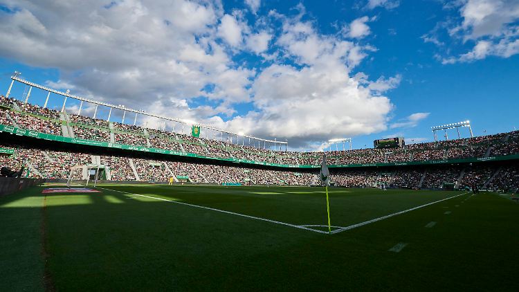 Sonnenblumenkerne bedrohen das Stadion von Elche.