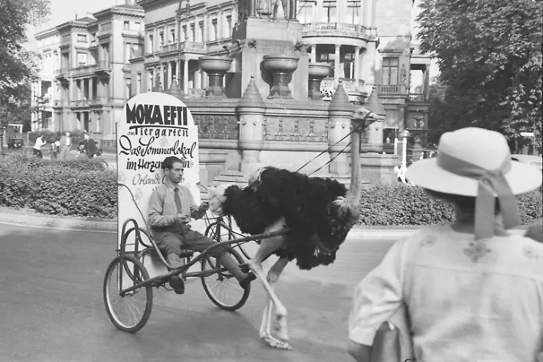 LABW-StAF-W-134-Nr-001696a-Willy-Pragher