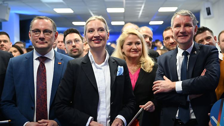 Das "ethnisch-abstammungsmäßige Volksverständnis" der AfD "ist nicht mit der freiheitlichen demokratischen Grundordnung vereinbar", erklärt der Verfassungsschutz. Die Partei selbst bezeichnet dies als "politisch motiviert".