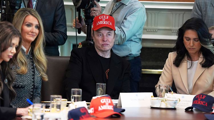 Musk bei einer Kabinettssitzung. Der Doge-Leiter hat den Status eines "besonderen Regierungsangestellten" und ist nicht vom Senat bestätigt.