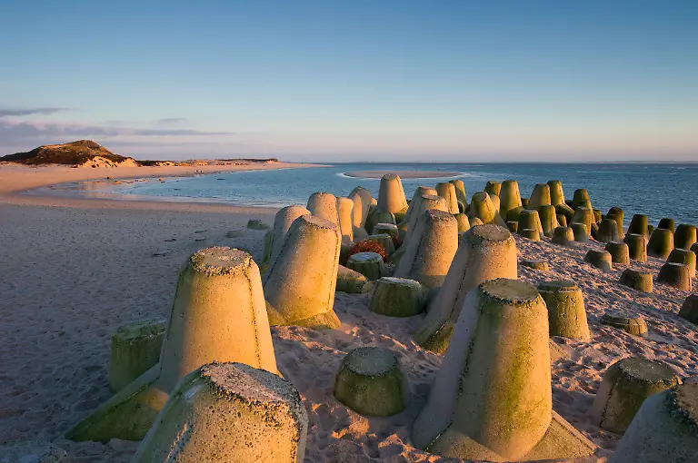 29-Sylt-Hoernum-Odde-Tetrapoden-Niedrigwasser-L1001939