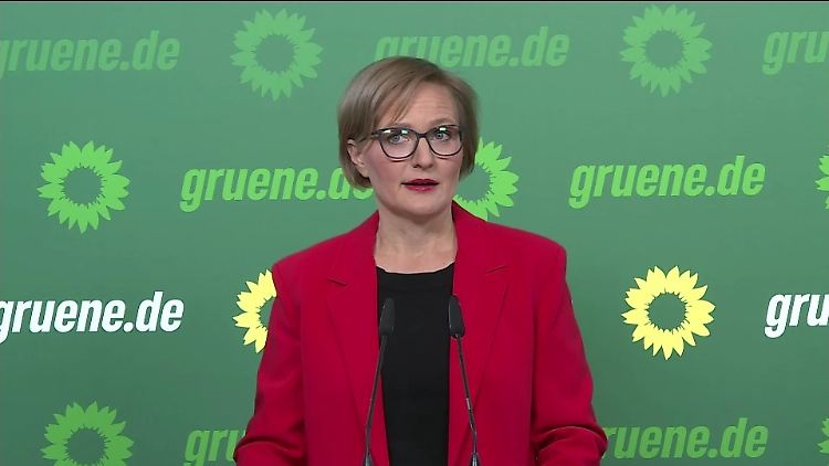 Franziska Brantner.jpg