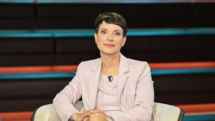 AfD-Mitgründerin Frauke Petry will es noch einmal wissen.