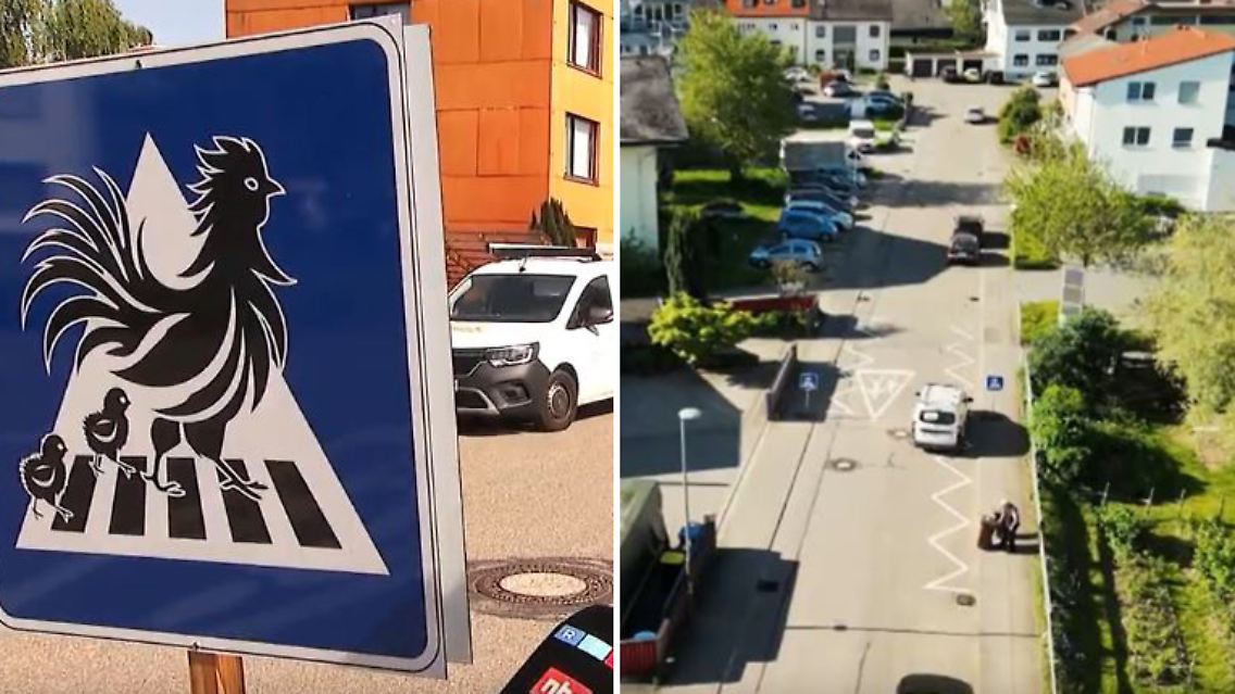 Schild_Hühner.JPG