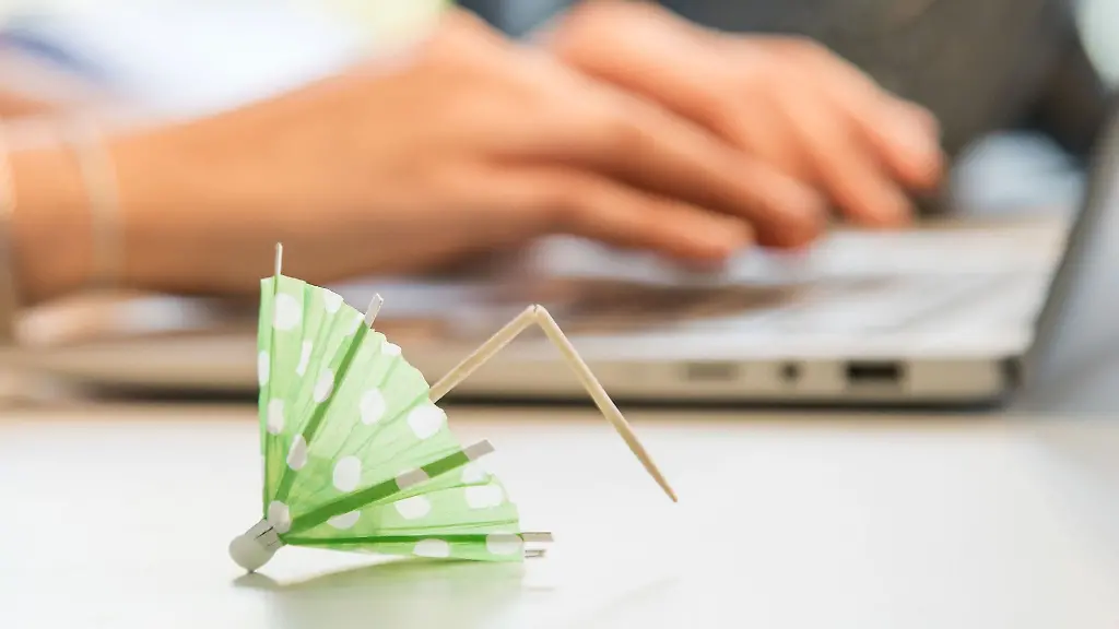 Rettungsschirm-bei-einem-geplatzten-Urlaub-der-Reisesicherungsschein-Ohne-ihn-ist-das-fuer-den-Urlaub-gezahlte-Geld-im-Fall-einer-Pleite-des-Veranstalters-womoeglich-weg