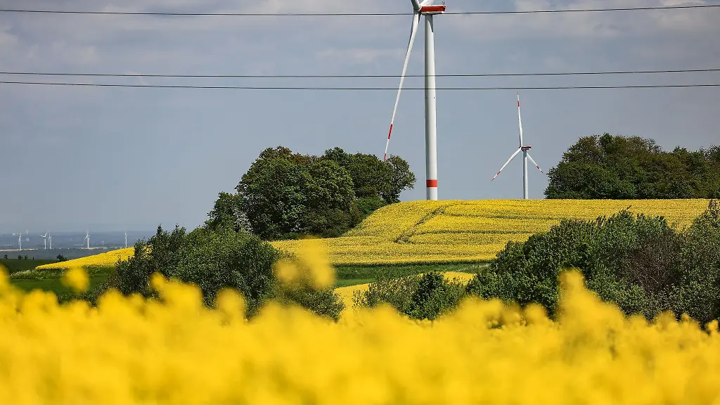 Windraeder-drehen-sich-hinter-einem-Rapsfeld-in-der-Eifel