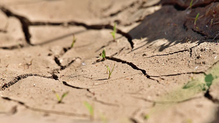 Schon jetzt sind vielerorts in Deutschland die Wasserreserven aufgebraucht.