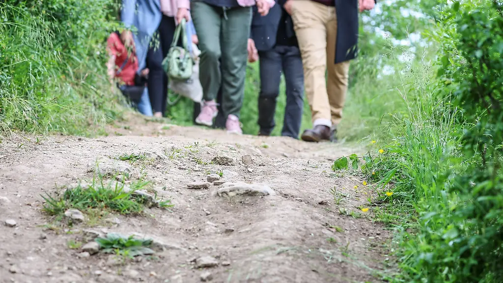 Mehrere-Menschen-wandern-gemeinsam