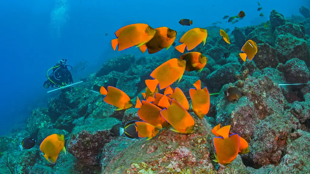 urn-binary-dpa-com-20090101-230531-99-886561-FILED